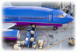 generalcargo-pic02